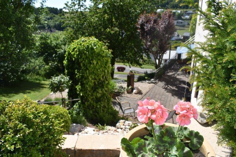 Ferienwohnung Zum Harpelstein Horath Bagian luar foto